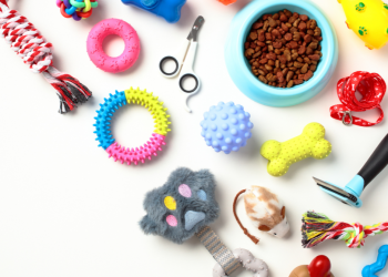 Top 10 Pet Food Delivery Services Effortless Feeding Solutions at Your Doorstep for Happy, Healthy Pets