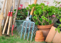 Green Thumb Glory: Top 10 Gardening Tools and Essentials for Blooming Gardens