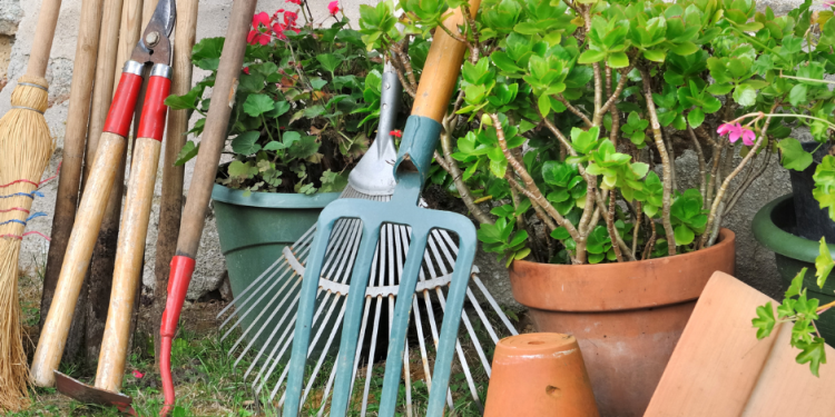 Green Thumb Glory: Top 10 Gardening Tools and Essentials for Blooming Gardens
