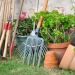 Green Thumb Glory: Top 10 Gardening Tools and Essentials for Blooming Gardens